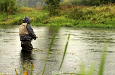 Wędki muchowe St. Croix